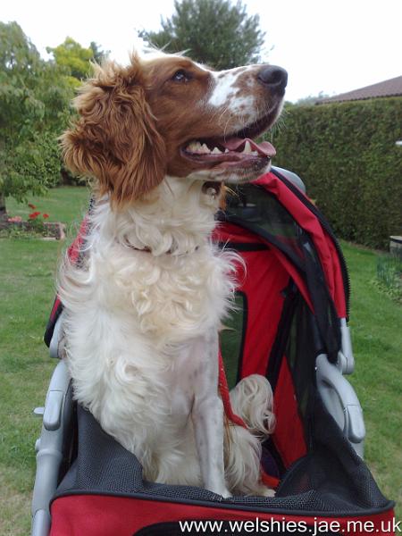 2010-08-22 04.jpg - I can see so much more up here